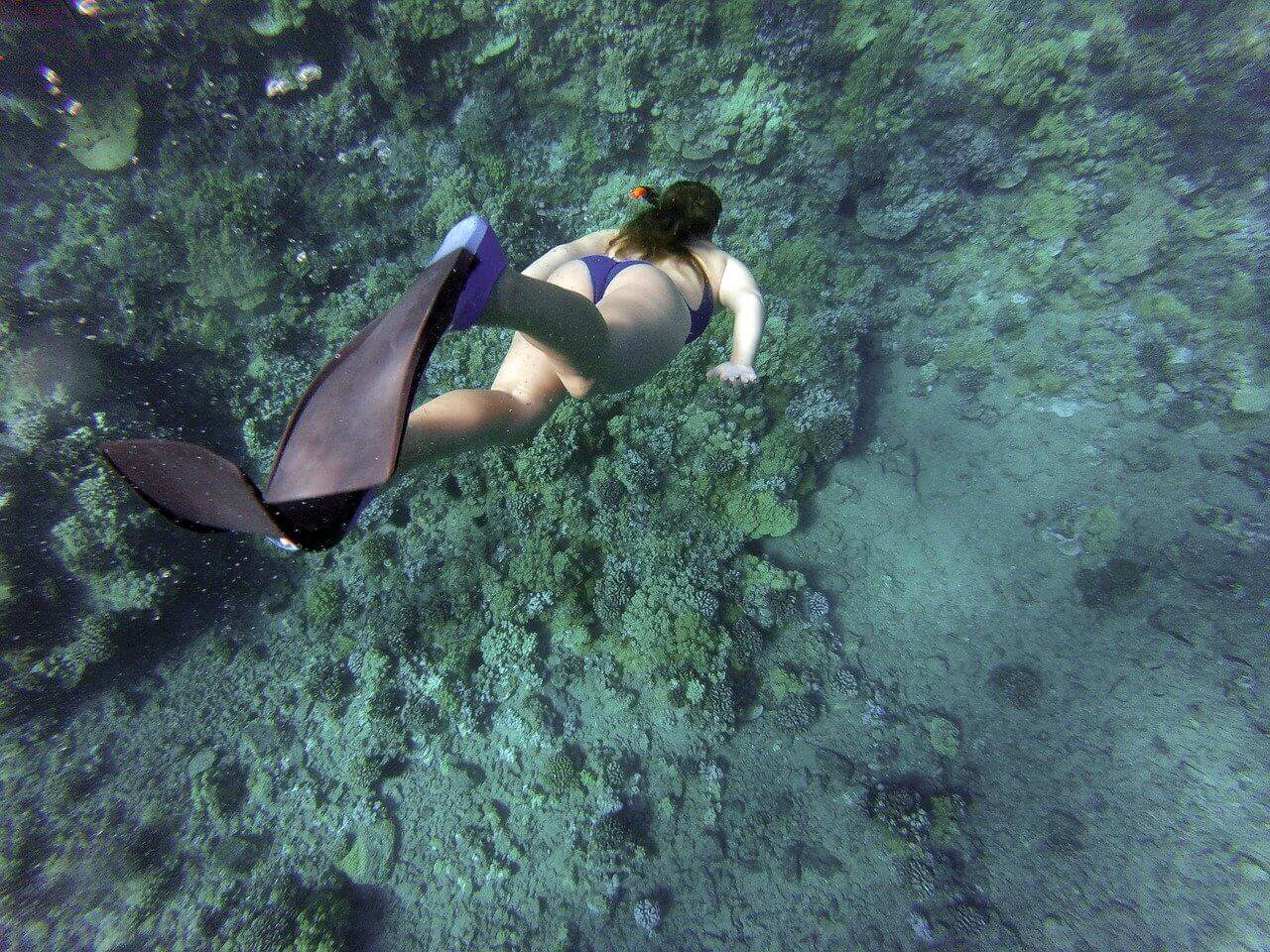 Unterwasserkameras – was sollte man beachten? 📌